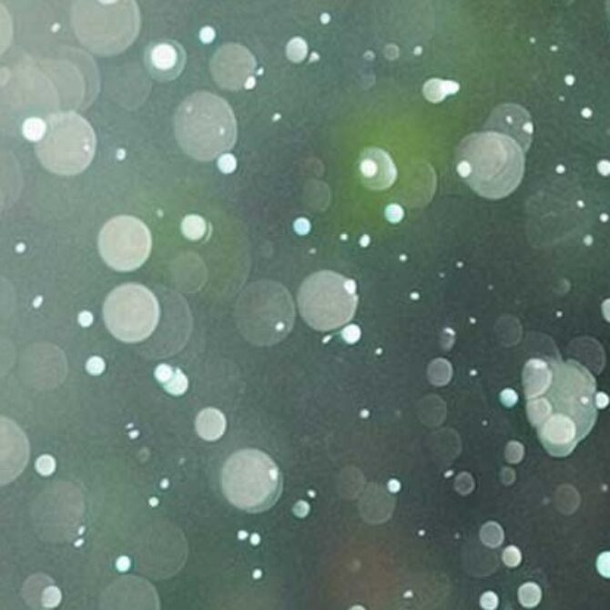 Warsztaty z rolnictwa precyzyjnego i sztucznej inteligencji – EU HortiQD