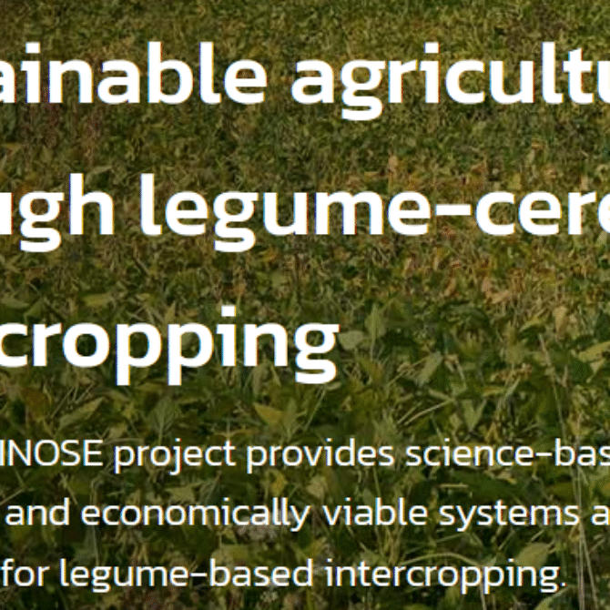 LEGUMINOSE Summer School