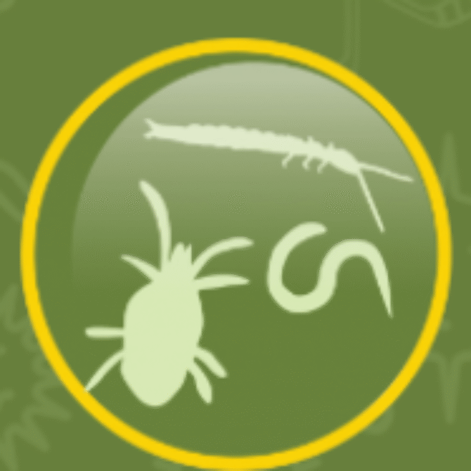 4th Global Soil Biodiversity Conference