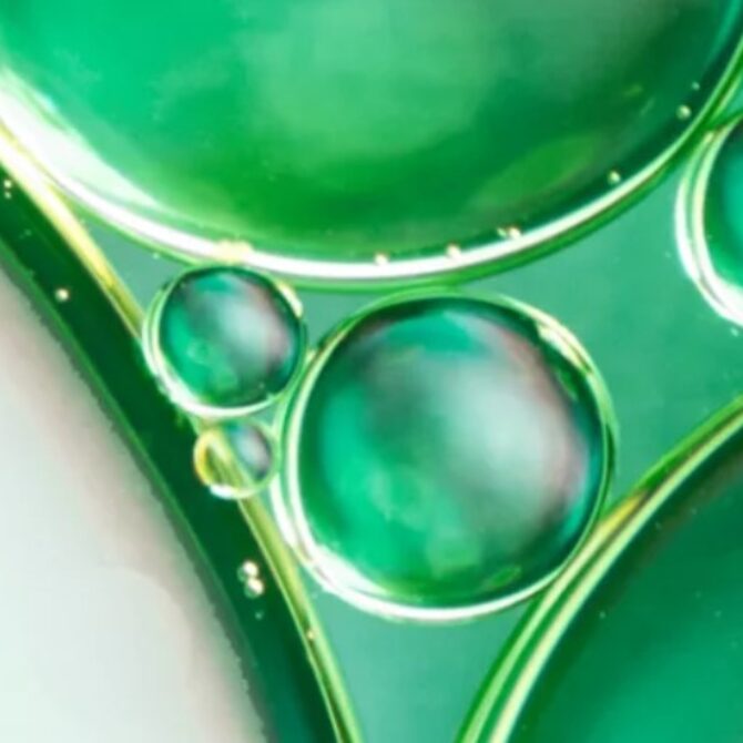 10th Central European Congress of Life Sciences – EUROBIOTECH 2026