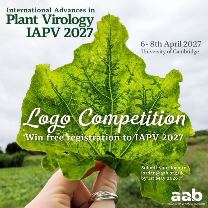 Konkurs na logo konferencji IAPV2027